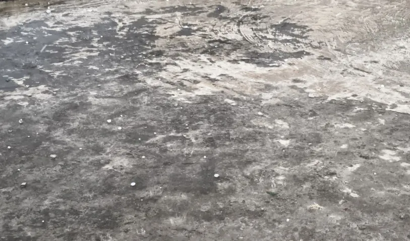 পিরোজপুরে ব্যাপক শিলাবৃষ্টি, ফসলের ক্ষতির আশঙ্কা